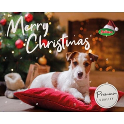 Picture of Bubimex Christmas Premium Advent Calendar